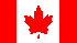 authour Image