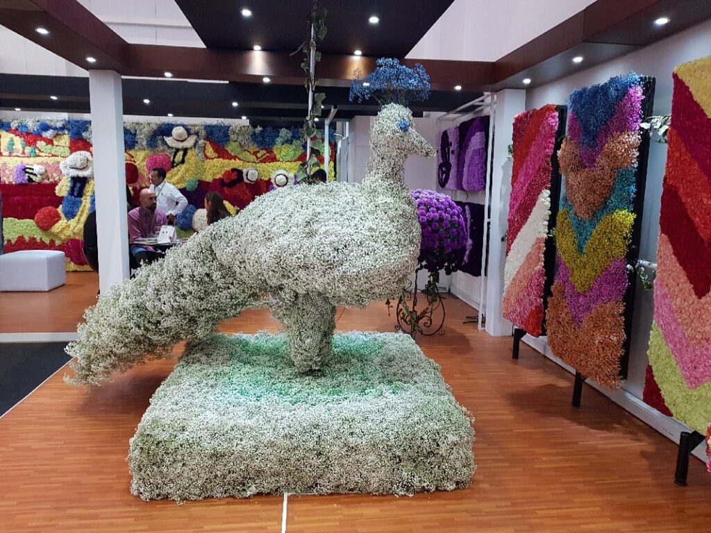 Agriflor 2018: Un Vistazo al Futuro de la Floricultura Ecuatoriana