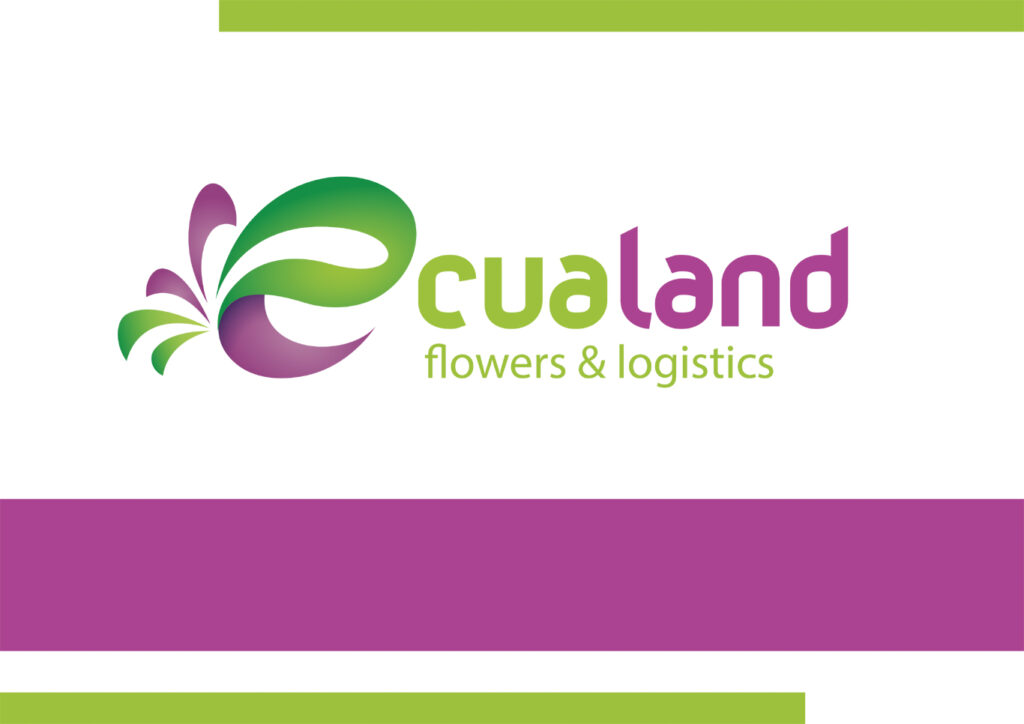 Что означают EB, QB, HB и FB?