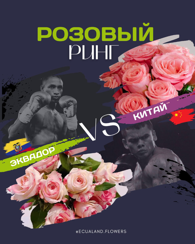 A balanced guide to comparing roses from Ecuador and China by cultivar, grade, postharvest handling, route, and landed cost for wholesale sourcing decisions.