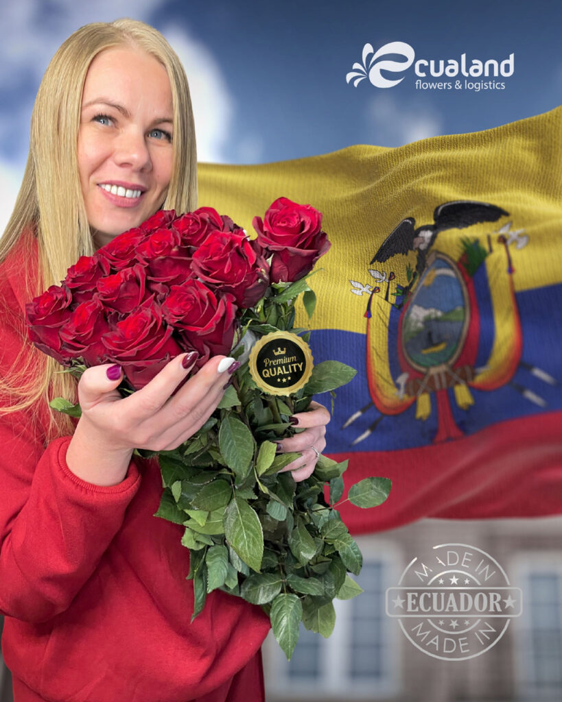 Compare roses by cultivar, grade, stem length, bloom form, handling, and documentation rather than relying on origin stereotypes in wholesale buying.