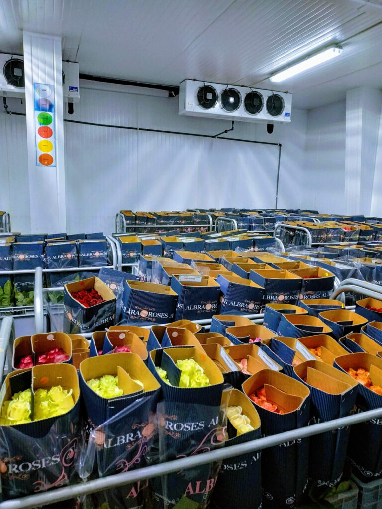 How harvest timing, precooling, packing, the cold chain, and route planning affect flower quality during international transit and on arrival.